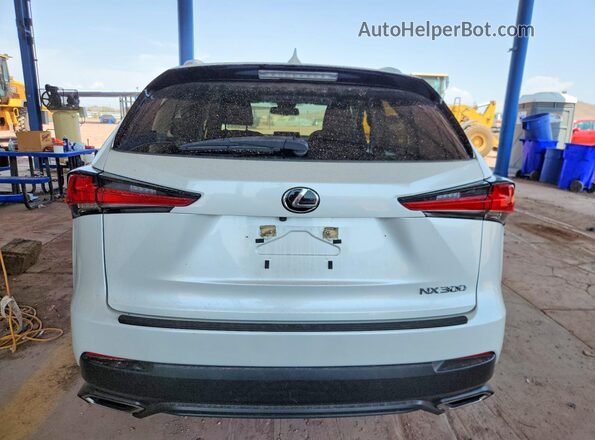 JTJDARBZ2M5022330 2021 LEXUS NX White Widok z tyłu