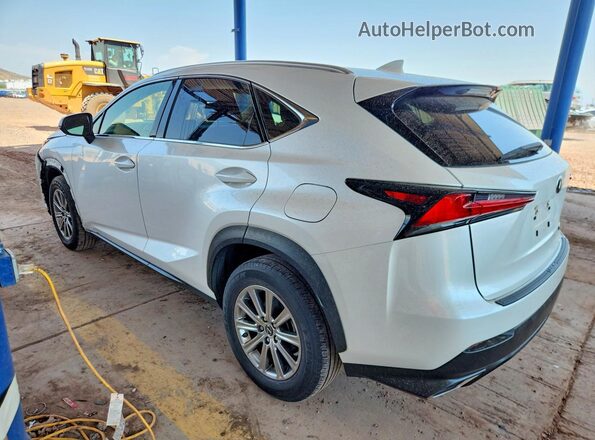 JTJDARBZ2M5022330 2021 LEXUS NX White Tył lewy