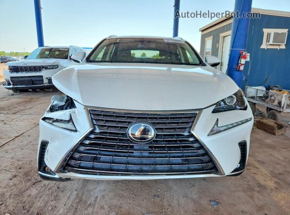 JTJDARBZ2M5022330 2021 LEXUS NX White Widok z przodu