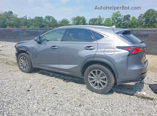 JTJDARBZ4M2184350 2021 LEXUS NX Charcoal Trasero izquierdo