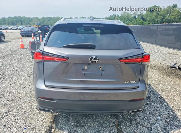 JTJDARBZ4M2184350 2021 LEXUS NX Charcoal Vista trasera
