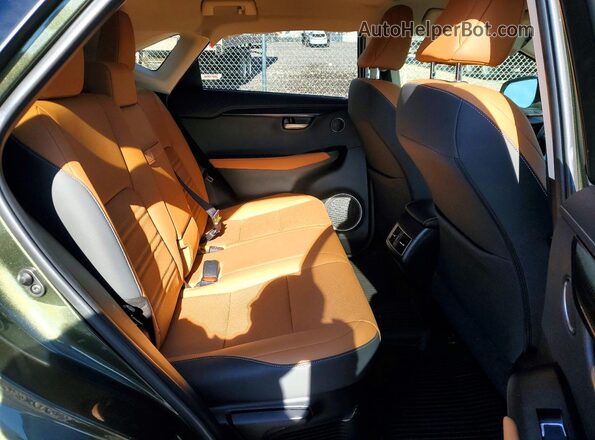JTJDARBZ6M2191137 2021 LEXUS NX Green Вид задньої частини салону