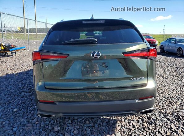 JTJDARBZ6M2191137 2021 LEXUS NX Green Вид ззаду