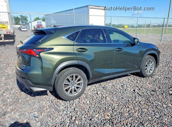 JTJDARBZ6M2191137 2021 LEXUS NX Green Задня права чверть