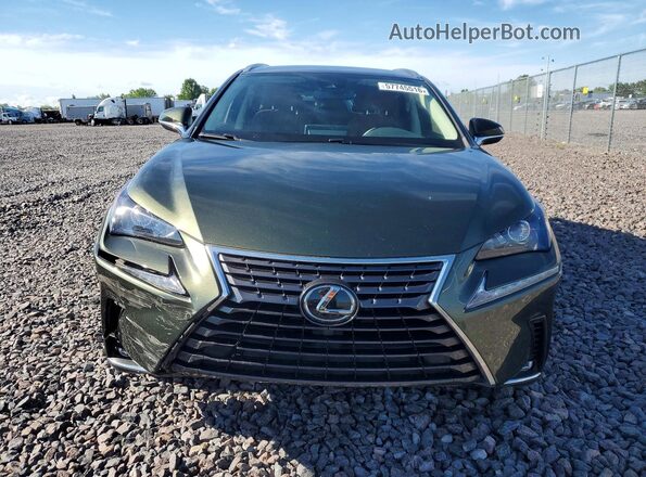 JTJDARBZ6M2191137 2021 LEXUS NX Green Вид спереду