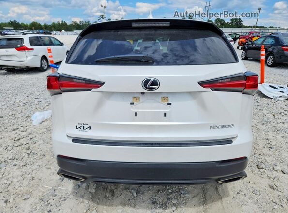 JTJDARBZ6M5021732 2021 LEXUS NX White Հետևի տեսք