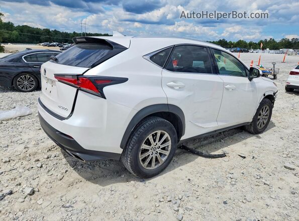 JTJDARBZ6M5021732 2021 LEXUS NX White Հետևի աջ