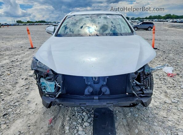 JTJDARBZ6M5021732 2021 LEXUS NX White Դիմացի տեսք