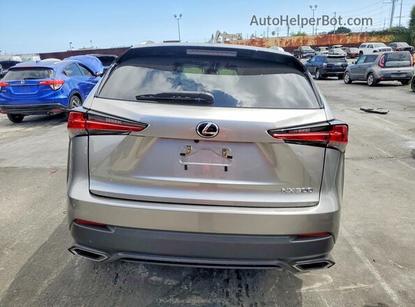 JTJDARBZ8M2194329 2021 LEXUS NX Silver უკანა ხედი