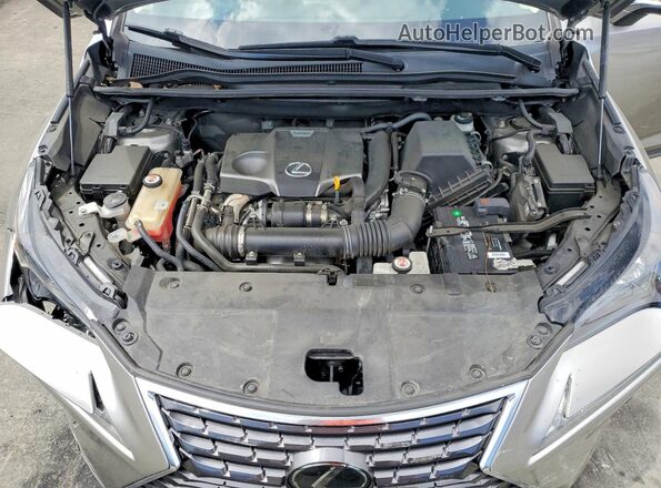 JTJDARBZ8M2194329 2021 LEXUS NX Silver უკანა სალონის ხედი