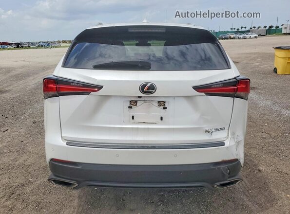 JTJDARBZ9L5014417 2020 LEXUS NX White Rear view