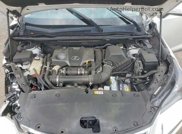 JTJDARBZ9L5014417 2020 LEXUS NX White Engine compartment view