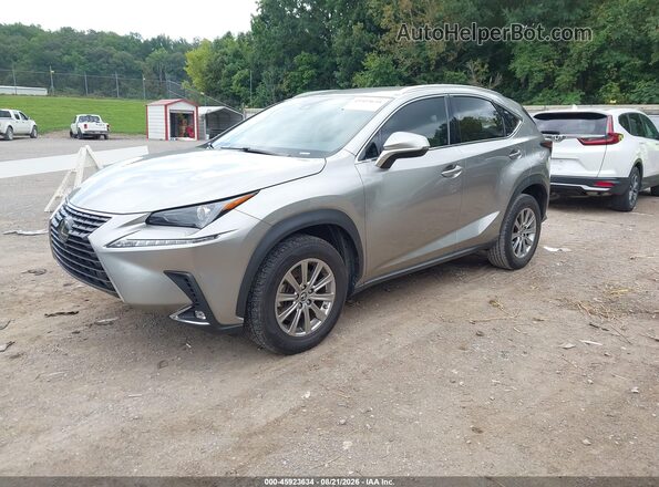 JTJDARBZ9M2197000 2021 LEXUS NX 300 Gray Առջևի ձախ երեք քառորդ տեսարան