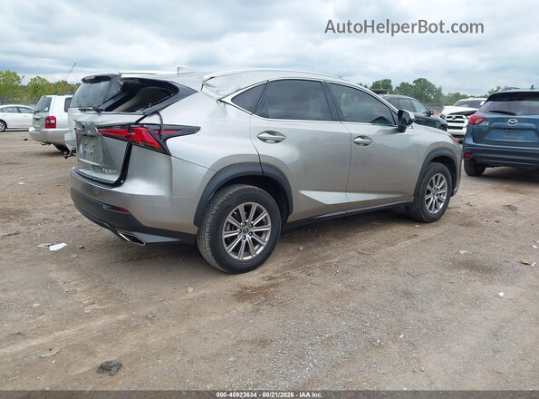 JTJDARBZ9M2197000 2021 LEXUS NX 300 Gray Հետևի աջ
