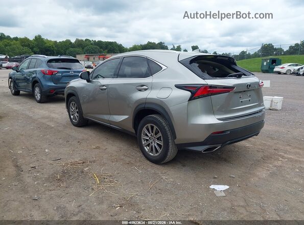 JTJDARBZ9M2197000 2021 LEXUS NX 300 Gray Հետևի ձախ
