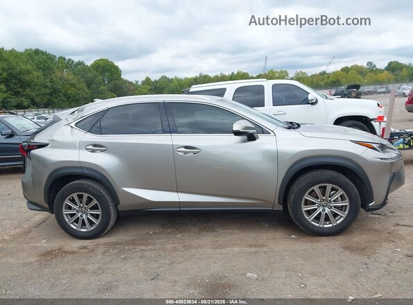 JTJDARBZ9M2197000 2021 LEXUS NX 300 Gray Սալոնի հետևի տեսք