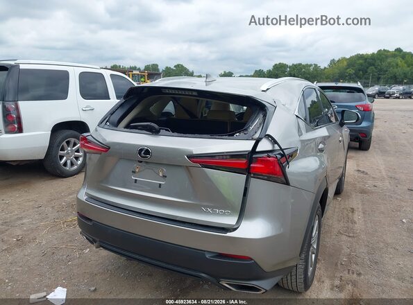 JTJDARBZ9M2197000 2021 LEXUS NX 300 Gray Դիմացի տեսք