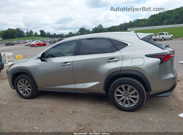 JTJDARBZ9M2197000 2021 LEXUS NX 300 Gray Սալոնի 360 աստիճան տեսք
