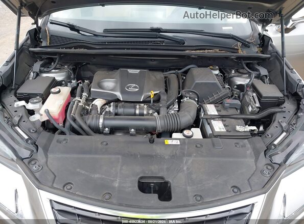 JTJDARBZ9M2197000 2021 LEXUS NX 300 Gray Հետևի տեսք