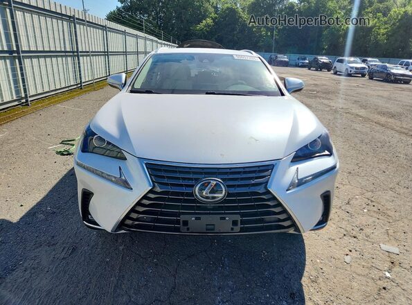 JTJDARBZ9M5025466 2021 LEXUS NX White Vista frontal