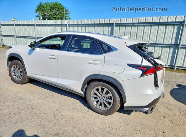 JTJDARBZ9M5025466 2021 LEXUS NX White Trasero izquierdo