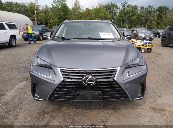 JTJDARDZ1L2222595 2020 LEXUS NX Gray Rear interior view