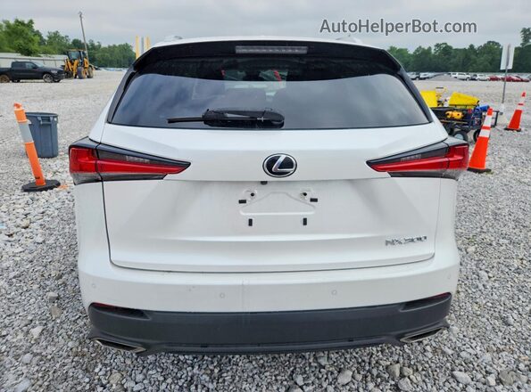 JTJDARDZ3L5016628 2020 LEXUS NX Белый Вид сзади