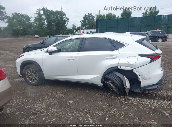 JTJDARDZ5M2257500 2021 LEXUS NX 300 White სალონის 360-გრადუსიანი ხედი