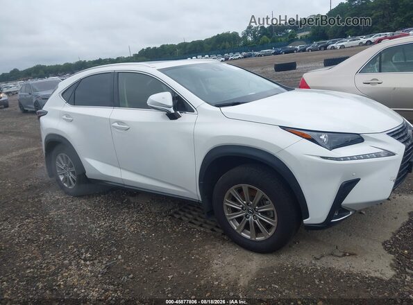 JTJDARDZ5M2257500 2021 LEXUS NX 300 White უკანა სალონის ხედი