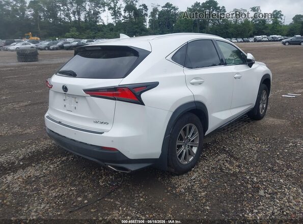 JTJDARDZ5M2257500 2021 LEXUS NX 300 White უკანა მარჯვენა