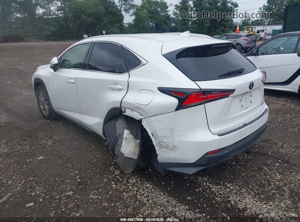 JTJDARDZ5M2257500 2021 LEXUS NX 300 White უკანა მარცხენა