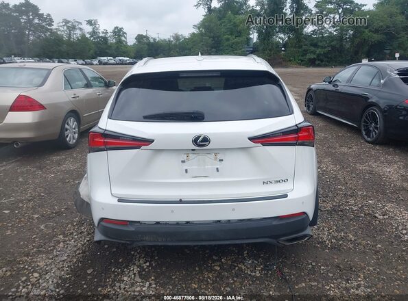 JTJDARDZ5M2257500 2021 LEXUS NX 300 White 