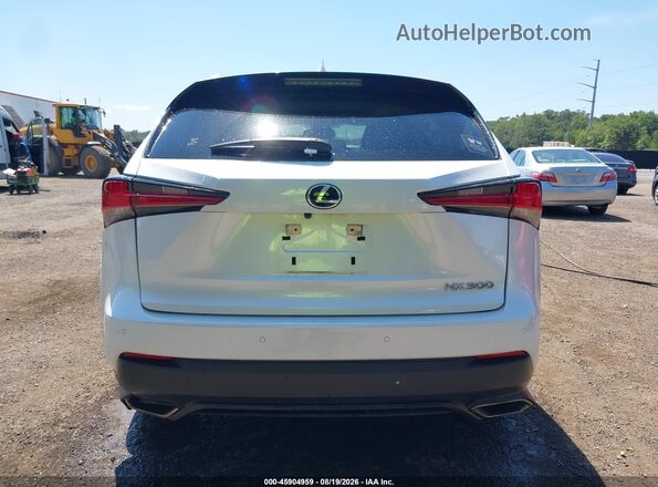 JTJDARDZ5M5024862 2021 LEXUS NX 300 White 