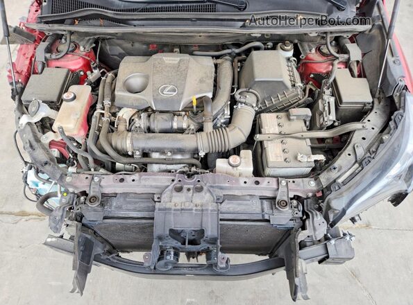 JTJDARDZ7L5018785 2020 LEXUS NX Red Widok wnętrza z tyłu