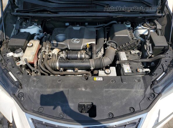 JTJDARDZ7M5023261 2021 LEXUS NX White Engine compartment view