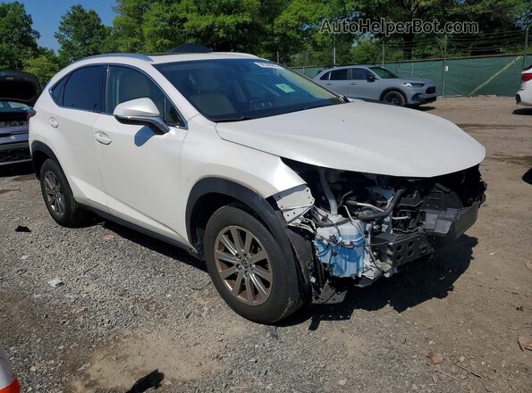 JTJDARDZ8L5005821 2024 LEXUS NX White Przód prawy