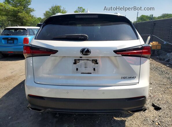JTJDARDZ8L5005821 2024 LEXUS NX White Widok z tyłu