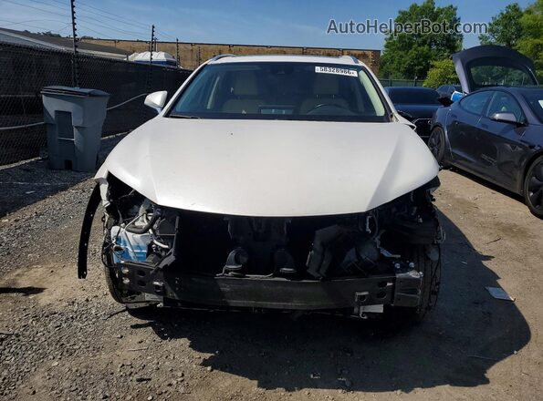 JTJDARDZ8L5005821 2024 LEXUS NX White Widok z przodu