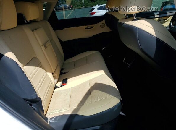 JTJDARDZ8L5005821 2024 LEXUS NX White Widok tylnych siedzeń