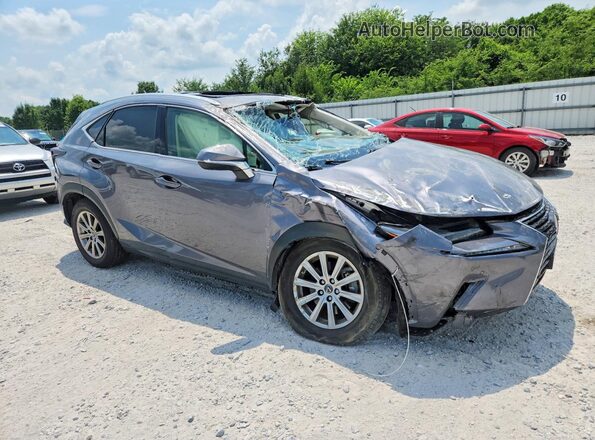 JTJDARDZ9M2251053 2021 LEXUS NX Серый Передняя правая четверть