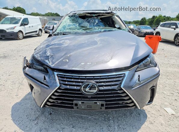 JTJDARDZ9M2251053 2021 LEXUS NX Серый Вид спереди