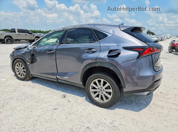 JTJDARDZ9M2251053 2021 LEXUS NX Серый Задняя левая четверть