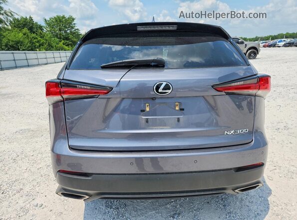 JTJDARDZ9M2251053 2021 LEXUS NX Серый Вид сзади