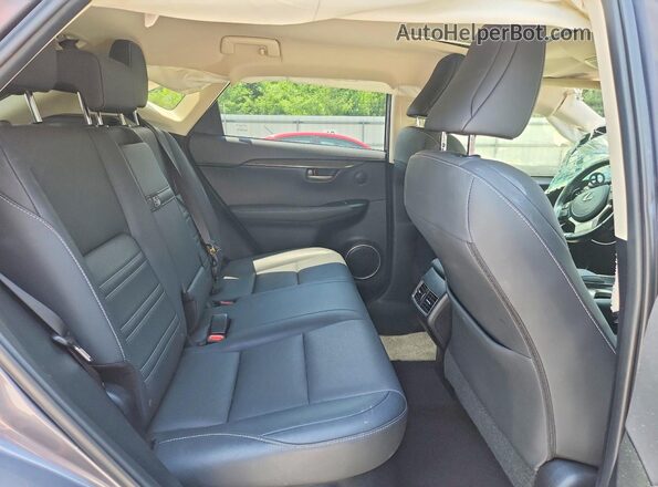 JTJDARDZ9M2251053 2021 LEXUS NX Серый Вид задней части салона