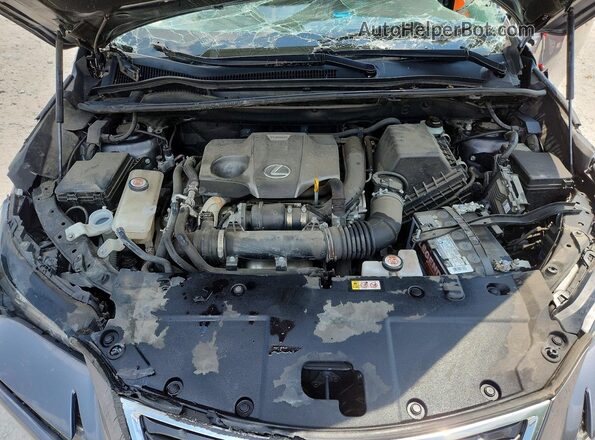 JTJDARDZ9M2251053 2021 LEXUS NX Серый Вид подкапотного пространства
