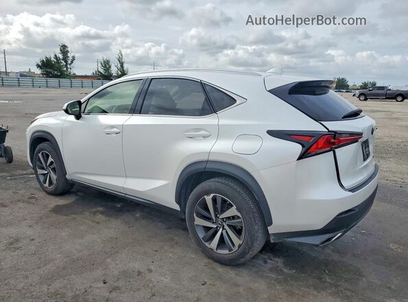 JTJGARBZ0M5020654 2021 LEXUS NX White Rear left