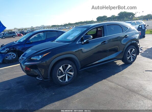 JTJGARBZ5M2183561 2021 LEXUS NX 300 Black Vista tres cuartos delantera izquierda