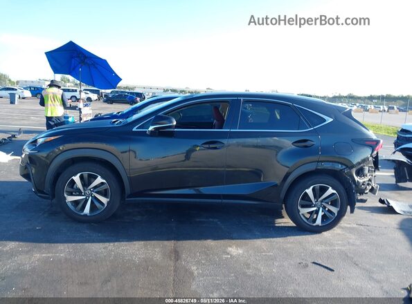 JTJGARBZ5M2183561 2021 LEXUS NX 300 Black 