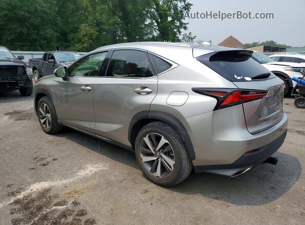 JTJGARDZ0L2223816 2020 LEXUS NX Gray Rear left