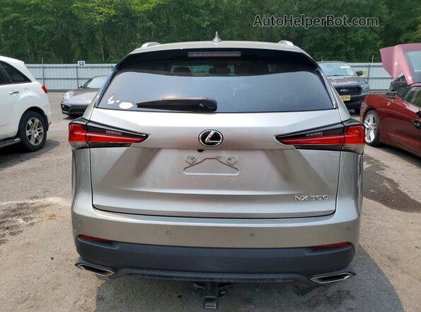 JTJGARDZ0L2223816 2020 LEXUS NX Gray Rear view